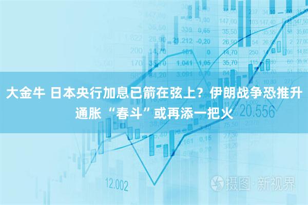 大金牛 日本央行加息已箭在弦上？伊朗战争恐推升通胀 “春斗”或再添一把火