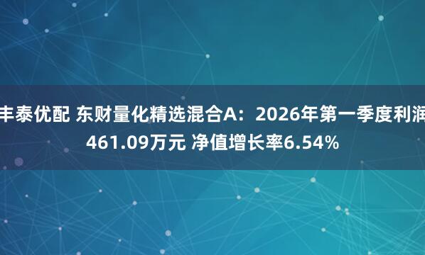 丰泰优配 东财量化精选混合A：2026年第一季度利润461.09万元 净值增长率6.54%