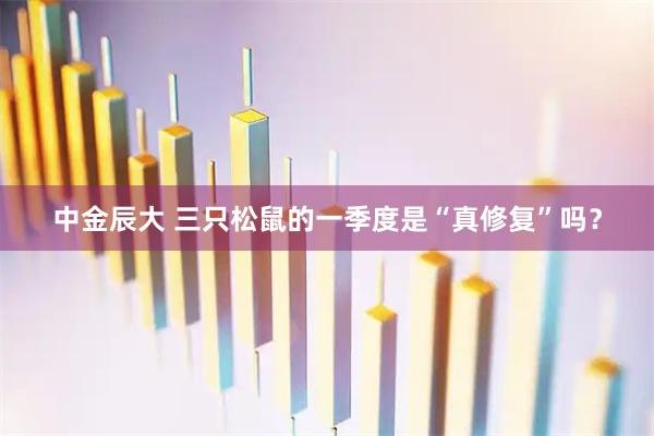 中金辰大 三只松鼠的一季度是“真修复”吗？